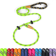 lynxking laisse slip lead face avant montrant usage sécurisé
