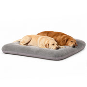 magic dog vue avant du lit XL montrant espace et confort