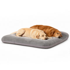 magic dog vue avant du lit XL montrant espace et confort