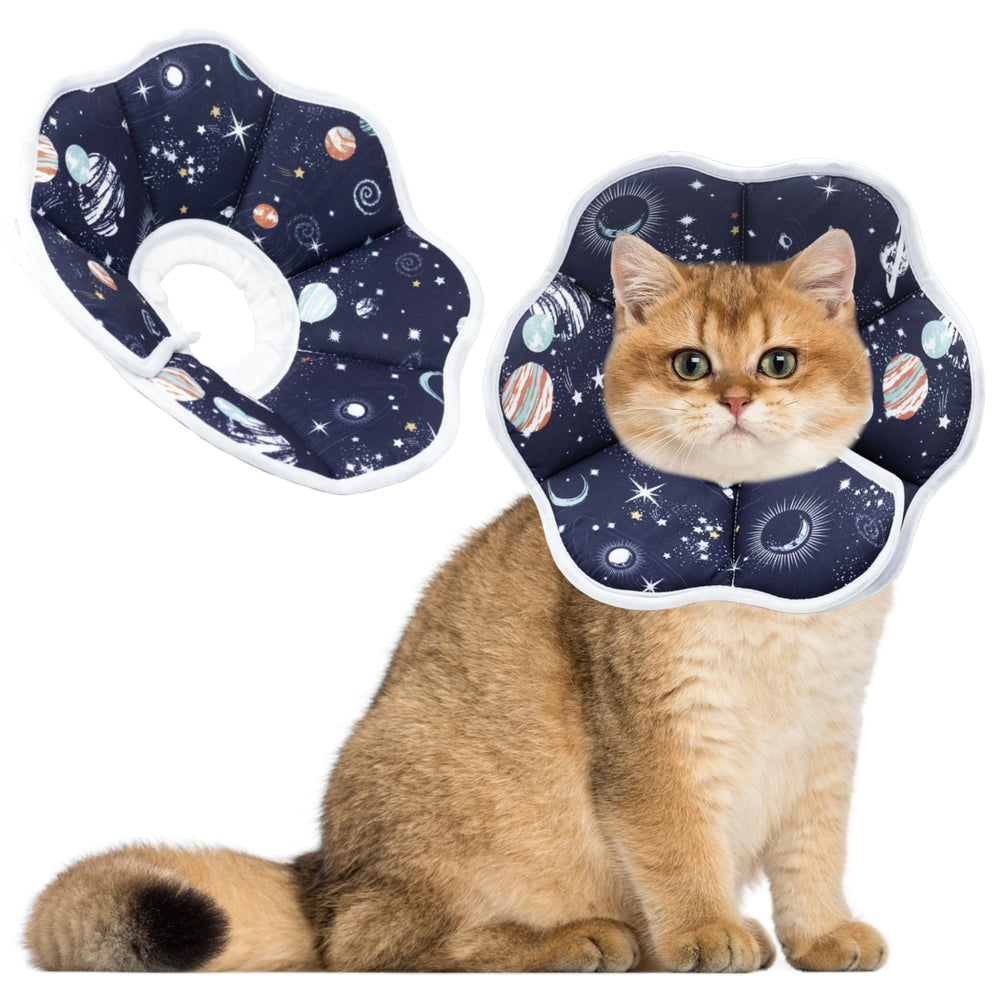 maiiu collarette conique vue face montrant confort et maintien
