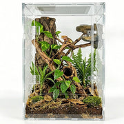 maiyuolg vue de face du terrarium montrant la visibilité complète