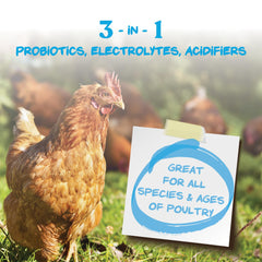 Abreuvoir contenant mélange Hydro-Hen Manna Pro illustrant l'hydratation rapide