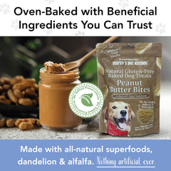 Marcy's Pet Kitchen biscuits dans la main pour comparer taille et adaptée aux petites récompenses