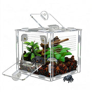 MaryCarrie terrarium face avant montrant ouverture magnétique et visibilité claire