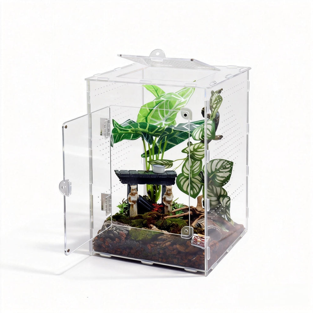 MaryCarrie vue de face montrant habitat transparent et visibilité optimale