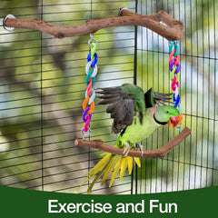 Matutinus perchoir en usage oiseau se balance pour exercice