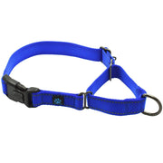 Max and Neo collier martingale avant emballage montrant la couleur bleue et la robustesse