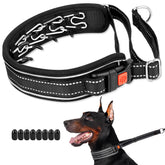Mayerzon collier martingale vue avant, contrôle efficace en promenade