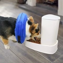 MCHY collerette portée par petit chien protège plaies sans gêner