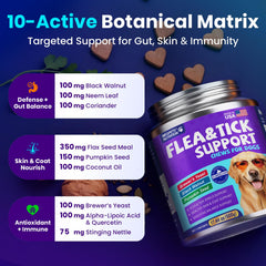 MEGPETS NUTRITION gros plan texture chew et bénéfice appétence
