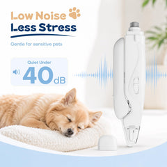 Meonlala en usage sur chien, coupe calme et efficace à la maison