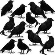 Meooeck corbeaux pack avant montrant l'ensemble de 12 pièces réalistes et pratiques