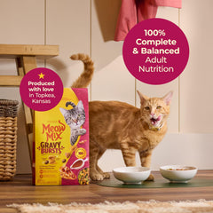 Meow Mix croquettes gros plan révélant texture croquante et attrait