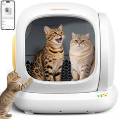 Meowant vue avant du bac ouvert montrant grande entrée et confort