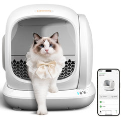 Meowant vue avant montrant grande capacité et confort pour plusieurs chats