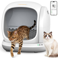 Meowant face avant montrant l'entrée basse et l'espace intérieur, confort accru