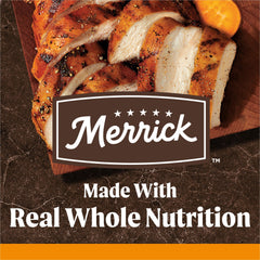 Merrick gros plan croquette montrant texture, optimise mastication