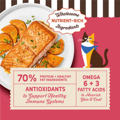 Merrick gros plan sur texture des croquettes pour meilleure mastication