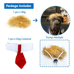 MESINURS chien portant le déguisement en fête, tenue complète et photo conviviale