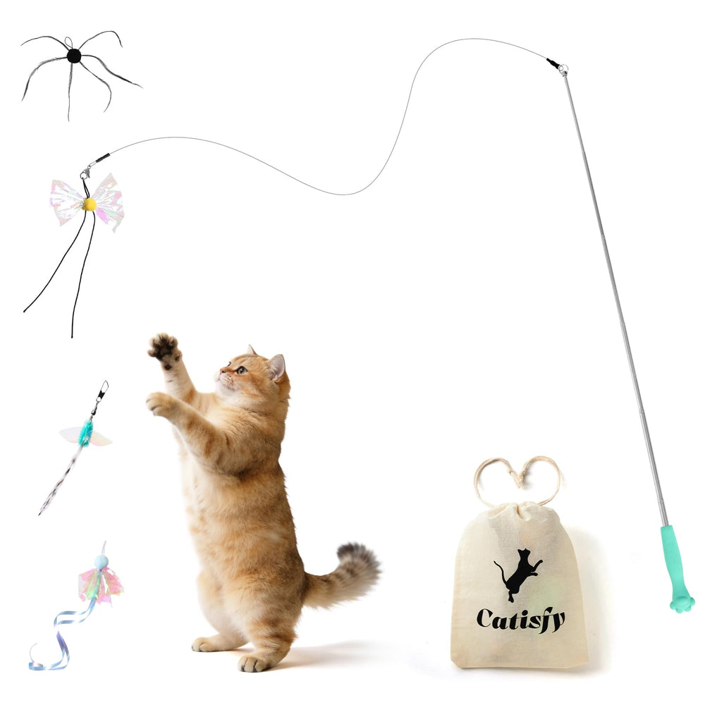 MewraThetify canne face avant montrant emballage et design pratique