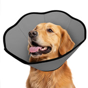 MIDOG collier vu de face montrant protection complète et confort