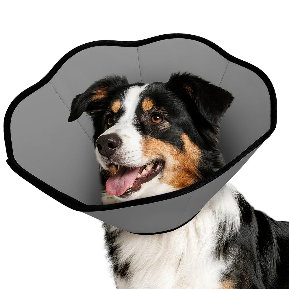 MIDOG collier face avant montrant coupe protectrice confortable