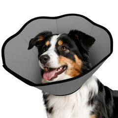 MIDOG collier face avant montrant coupe protectrice confortable