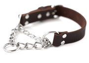 Mighty Paw collier martingale face avant montrant style et solidité