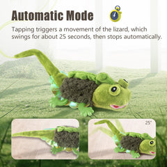 Migipaws lézard posé au sol avec chat en train de chasser pour exercice