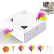 Migipaws Migibox face avant montrant les sept ouvertures et attraction visuelle