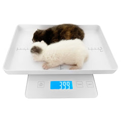 MINDPET-MED face avant avec plateau rectangulaire montrant lisibilité et stabilité