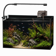 minilake vue frontale de l'aquarium montrant design moderne et clarté