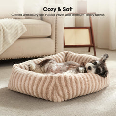 mixjoy insert coussin montrant rembourrage de soutien