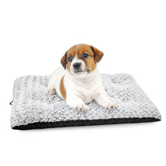 MIXJOY vue face avant du coussin pour cage, confort visible et design neutre