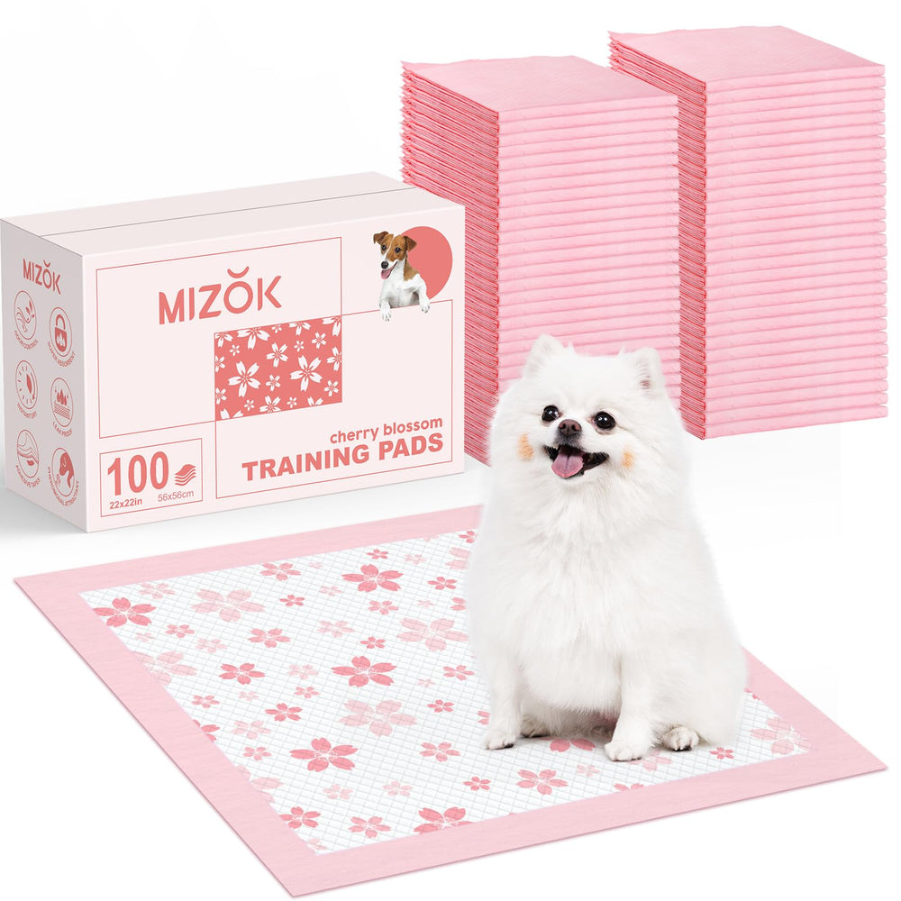 MIZOK emballage avant montrant le paquet et l'élégance pratique