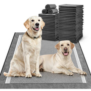 MIZOK emballage avant montrant le lot et la taille XL pour protection pratique