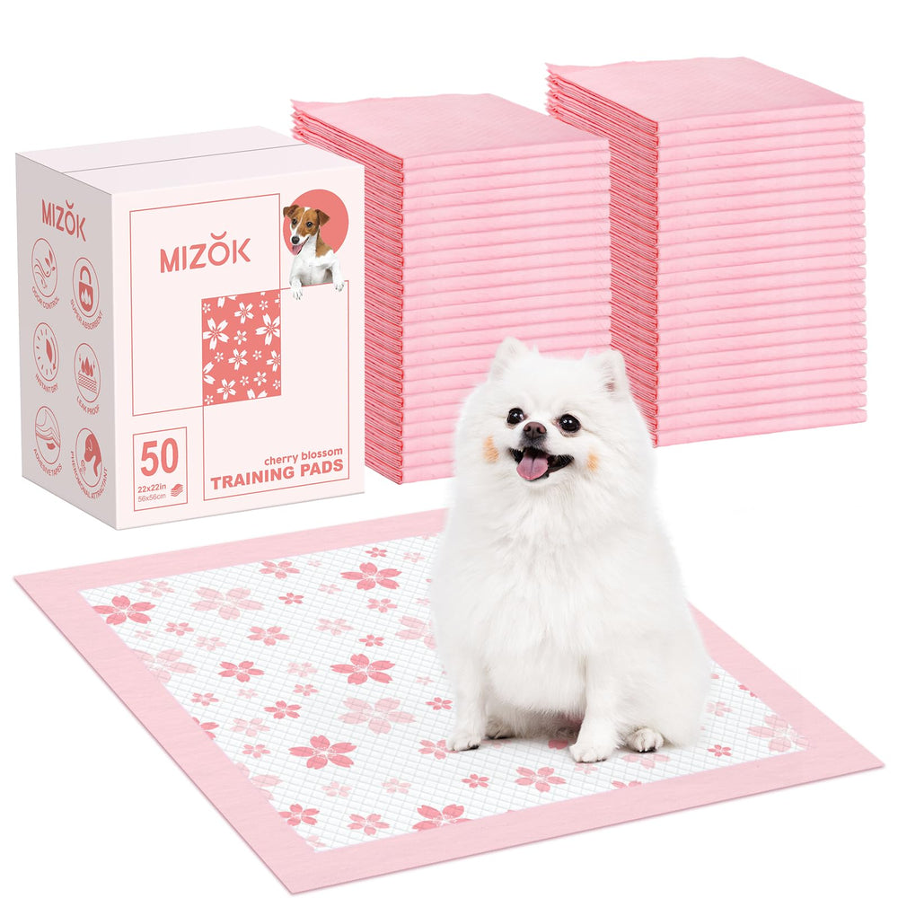 MIZOK visage du paquet rose montrant un bénéfice esthétique pour la maison