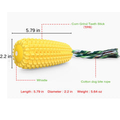 Mloowa comparaison de taille du corn à côté d'une main pour évaluer l'échelle