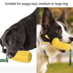 Mloowa chien jouant avec le corn démontrant stimulation et durabilité