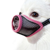 Muselière MoiiLavin vue de face montrant coupe cerise et ventilation bénéfique