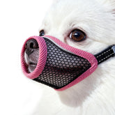 Muselière MoiiLavin face cerise, protection confortable