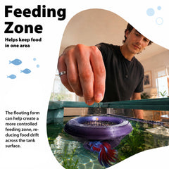 monohomi hamac en usage avec betta réduisant stress