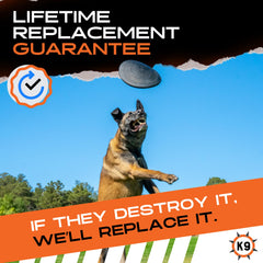 Monster K9 Aero Disc chien récupérant disque pour jeu de rapport