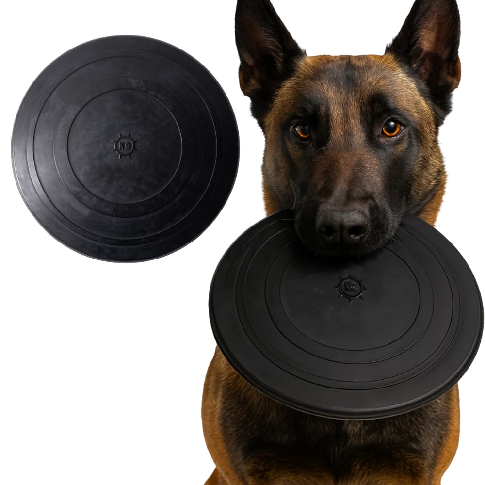 Monster K9 Aero Disc vue avant montrant design sûr et durable