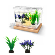 MoonOrange vue frontale du kit complet montrant la cuve et le socle LED, pratique