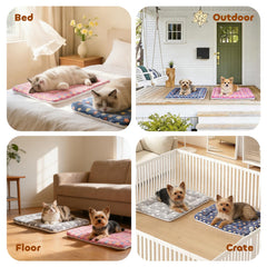 Mora Pets tapis installé dans une caisse 22" pour protection pratique