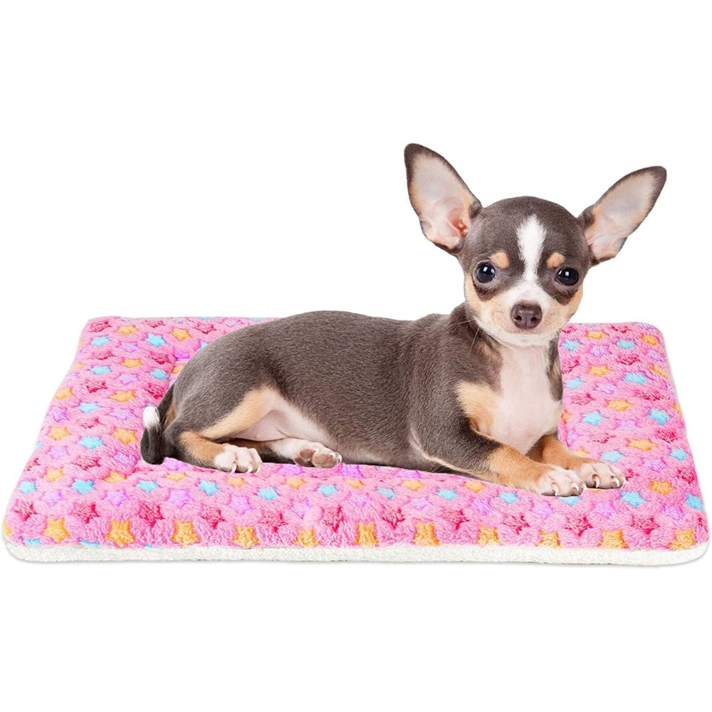 mora pets tapis devant emballé montrant format compact et transport facile