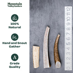 Mountain Valley Antlers gros plan texture montrant dureté et longévité