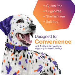 MOVOFLEX chien grand prend friandise illustrant prise facile et compliance