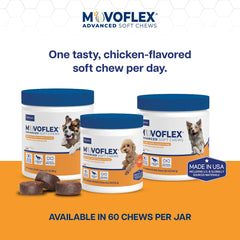 MOVOFLEX chiot mange la friandise et conserve sa mobilité